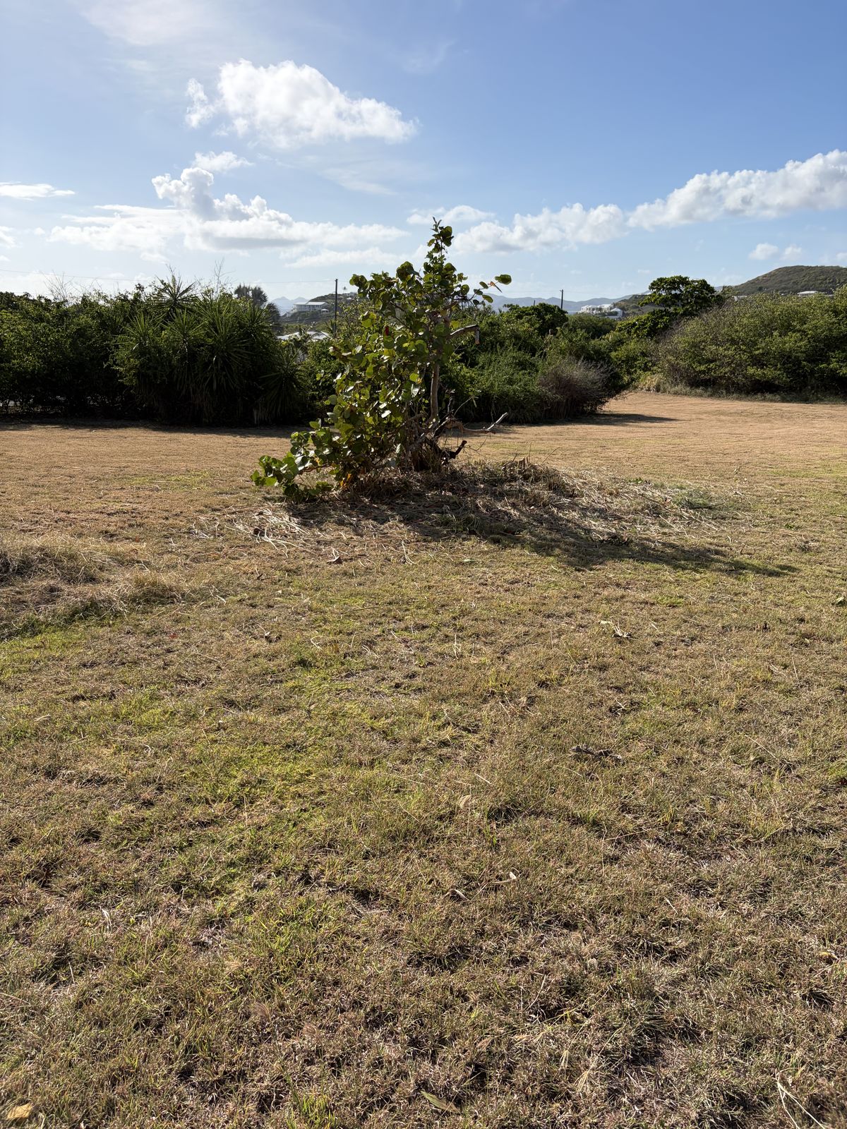 AJD Landscaping & Yard Cleanup St. Croix
